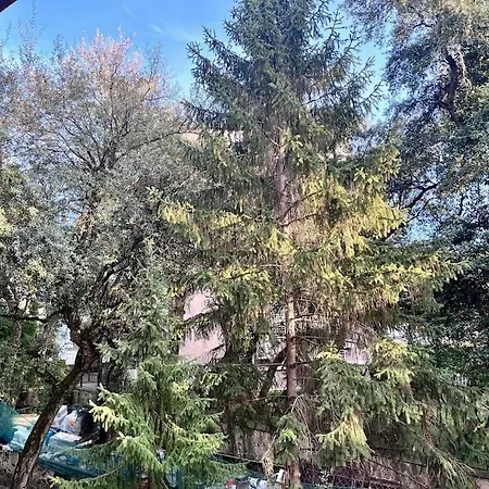 Small House Nord רומא